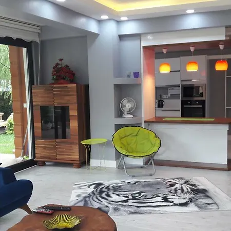 Villa Dortmevsim Sakarya (Marmara)