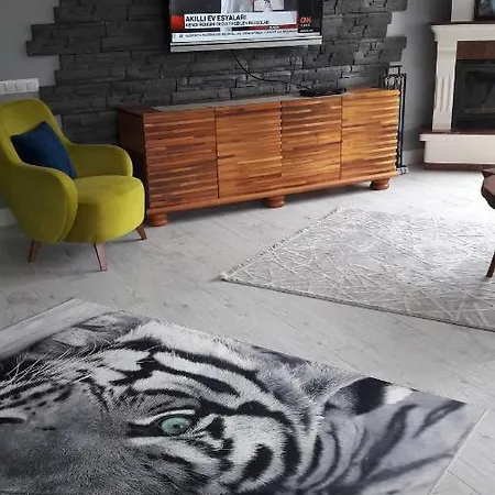 Dortmevsim Villa Sakarya (Marmara)